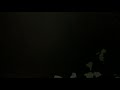 愛すべき天使達へ