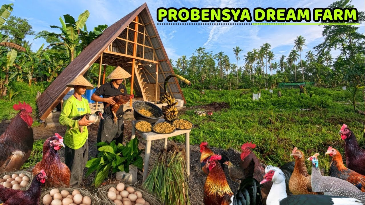 PROBENSYA DREAM FARM || PAGGAWA NG BAHAY PARA SA ALAGANG BABOY