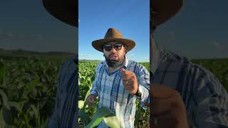 #new #agro #vemdançarcomagente #corretor