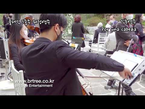 식후연주 - Por una cabeza - 석파정 클래식 3중주 웨딩연주