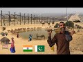 Amazing village life routine at india pakistan border zero line