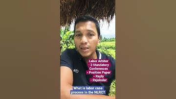 Labor case process before the NLRC in a Nutshell