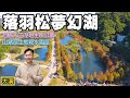 美呆了！桃園「落羽松夢幻湖」，超美超夢幻水漾森林，湖畔倒影美如印象派畫作！順遊鄰近環境清幽的美麗原生態公園！ | 月眉人工溼地生態公園、山豬湖生態親水園區 |桃園景點、大溪景點、桃園賞落羽松景點