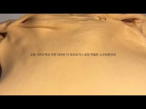 요즘 소규모 대규모에 대한 공론화 / 시리즈액괴 / 소규모시리즈 / 대규모시리즈