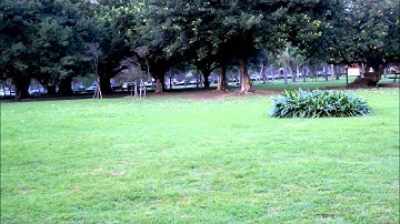 Blade MCPX Inverted Hover - Watch in HD!