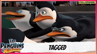 The Penguins of Madagascar | Full Episode | Tagged