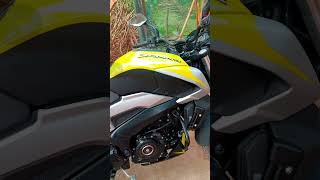 Dominar bs6 🏍️🫶💃👀#dominarbs6  #zx10r#bmw  #song  #subscribe #youtubeshortsviralvideo #automobile