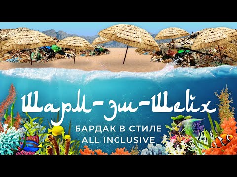 Видео: 12 туристически атракции с най-висок рейтинг в Египет