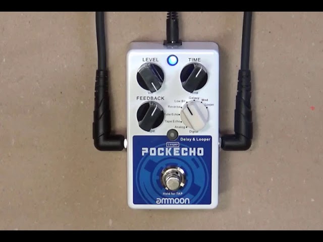 Ammoon Pockecho Delay and Looper Unboxing Review - YouTube