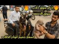 Dog Market Friday Market Sayyida Aisha Prices Of All Types Of Dogs The Most Dangerous And Str 