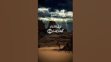عبد الباسط عبد الصمد تلاوة مؤثرة 🤍⚘️حالات واتس اب دينية