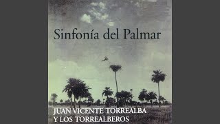 Video thumbnail of "Juan Vicente Torrealba - Pasaje No 8"
