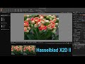 Hasselblad X2D II + Pixel Shift Multi-shot Tethered Shooting in Phocus