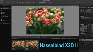 Hasselblad X2D II + Pixel Shift Multi-shot Tethered Shooting in Phocus