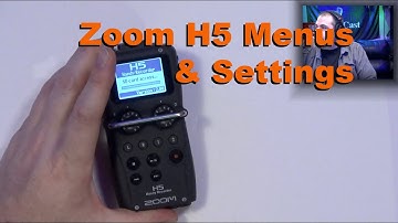 Zoom H5 Menus, Settings & Levels