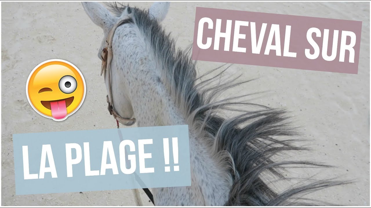 CHEVAL SUR LA PLAGE !! ♡