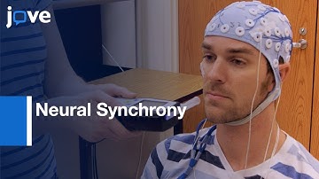 Neural Synchrony Disruption due to Alcohol Intoxication | Protocol Preview