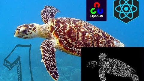 OpenCV.js React App Part 1