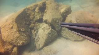 Нападение мурены и отмщение. Подводная охота в Таиланде