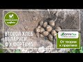 Мониторинг картофельных полей ФХ Фортуна. Второй хлеб Беларуси.