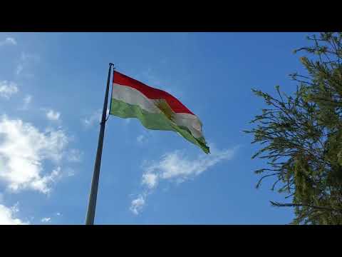 الا كوردستان  
