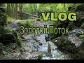 VLOG | Лес Золотой поток | Парочка оленей :) | Пещера