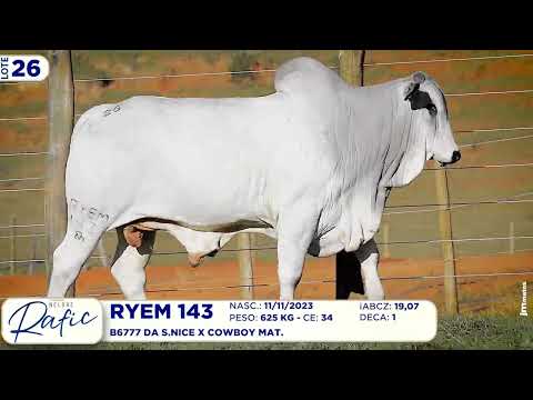 LOTE 26   RYEM 143