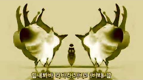 Larva Intro in Electronic Sounds In Low Voice