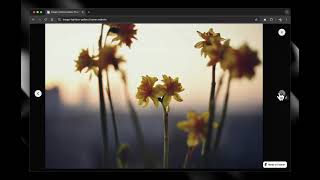 Famous Image Lightbox Gallery for Framer with CMS Integration Profile