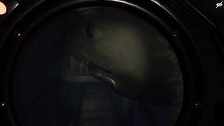 Submersed Gameplay/commentary Smart Shark Dumb Me screenshot 4