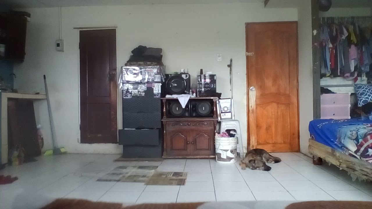 Extreme Noise Terror-Law Of Retaliation Full Album