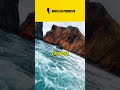 REFLEXÕES DE SUCESSO - MENSAGEM DE MOTIVAÇÃO #MOTIVAÇÃO