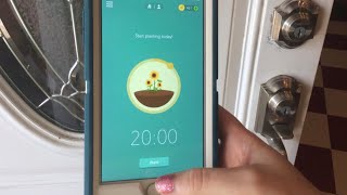 Forest App Review - Hack Your Productivity with Phone Free Time screenshot 4