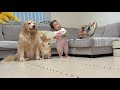 7歳にして意外すぎる特技を見せてくれる豆柴