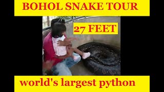 Biggest Snake In The World, Bohol, Philippines - TravelOnline