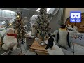 3D 180VR 4K Winter party of bears, deer, penguins and seals 😊😊