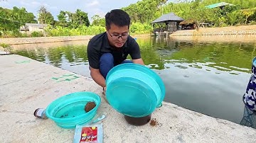 Một số lưu ý khi câu Rô Phi hồ dịch vụ - Ngọc Biển Fishing