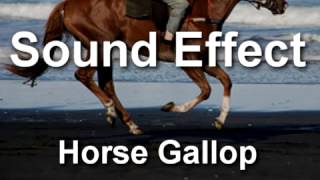 Horse Gallop Sound Effect   YouTube