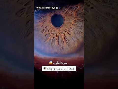 ترجمه فارسی قرآن