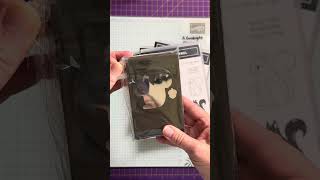 New Stampin Up Holiday Catalog Haul