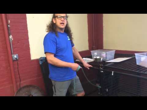 fearful-dog-leadership-training-how-to-dog-training