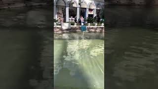 Vailand Istanbul Turkey