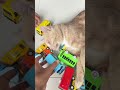 Coki With Cars Toys,Hot Wheels,McQueen,Tayo Bus