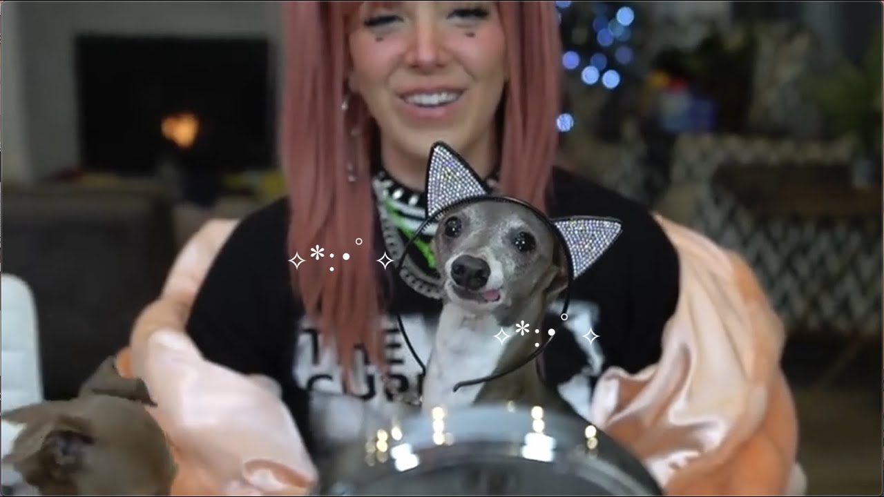 Kermit being actually cute for 46 minutes straight