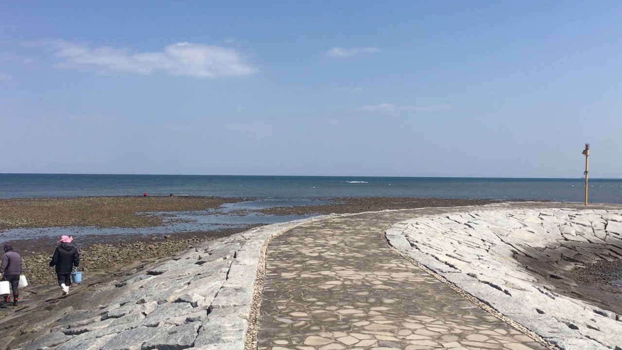 浜の宮海岸 築上町 4名様 4 5月潮干狩りok 手ぶらで出張バーベキュー満福北九州 浜の宮海岸 築上町 4名様 4 5月潮干狩りok 手ぶらで出張バーベキュー満福北九州