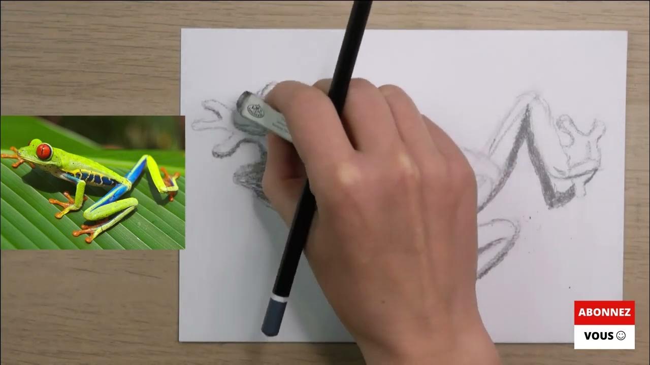 Page De Garde Svt Grenouille débuter le dessin / la grenouille - YouTube
