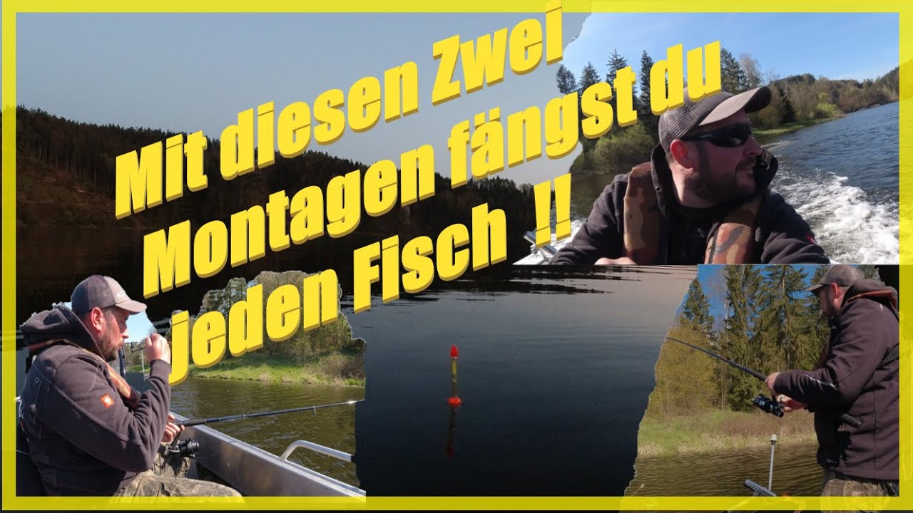 Mit Köderfisch am See | Ansitzangeln  auf Zander