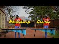 Ndichatarisa - Gemma Griffiths Marimba Cover #365days of Marimba day 272