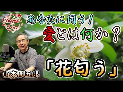 花組 全国ツアー公演 江戸風土記 小さな花がひらいた-山本周五郎作「ちいさこべ… 番組詳細｜宝塚歌劇 衛星放送チャンネル｜タカラヅカ・スカイ