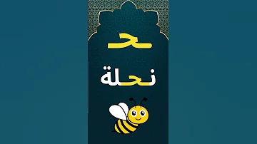 حرف الحاء في بداية الكلمة ووسط الكلمة ونهاية الكلمة Alif Baa Taa Shorts Arabic Alphabet In Arabic 